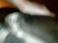 Amateur zoophilia porno of slut getting banged by dog